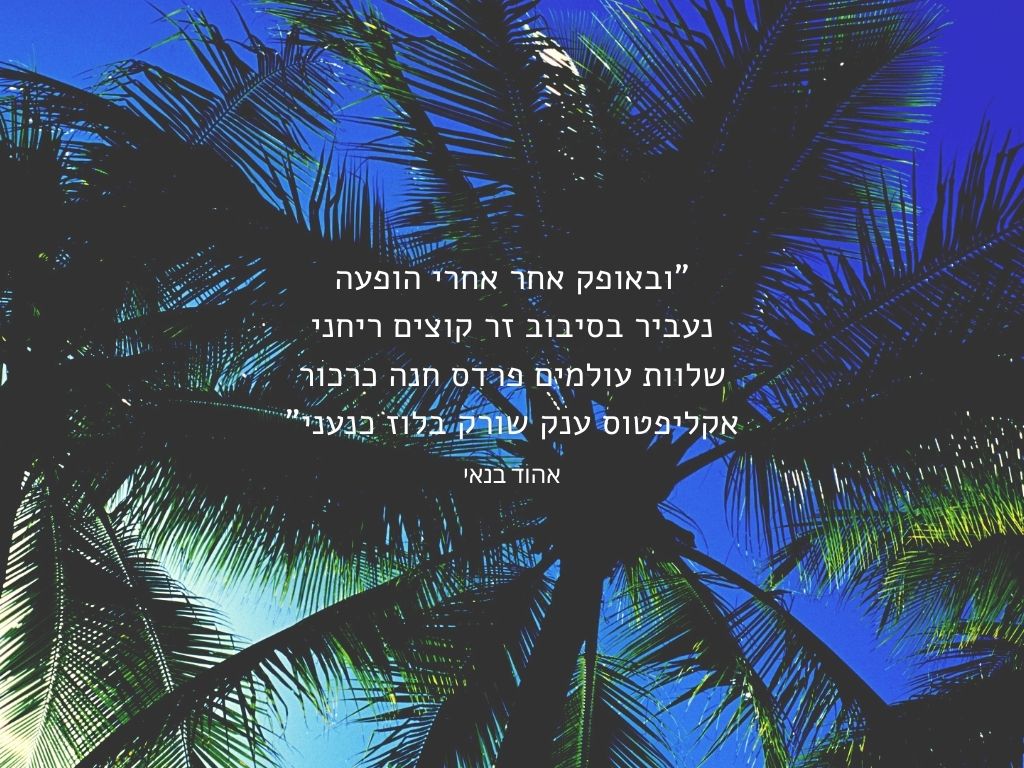 אל תתחרטו! חיו את היום!